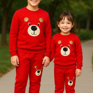 winter baby hoodie